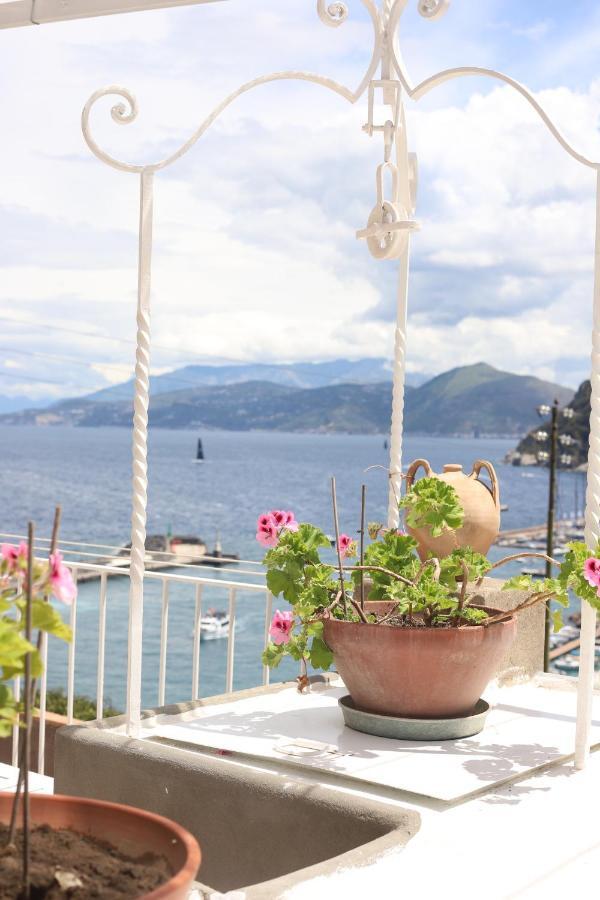 Casa Tarantino Capri Charming Apartments 外观 照片